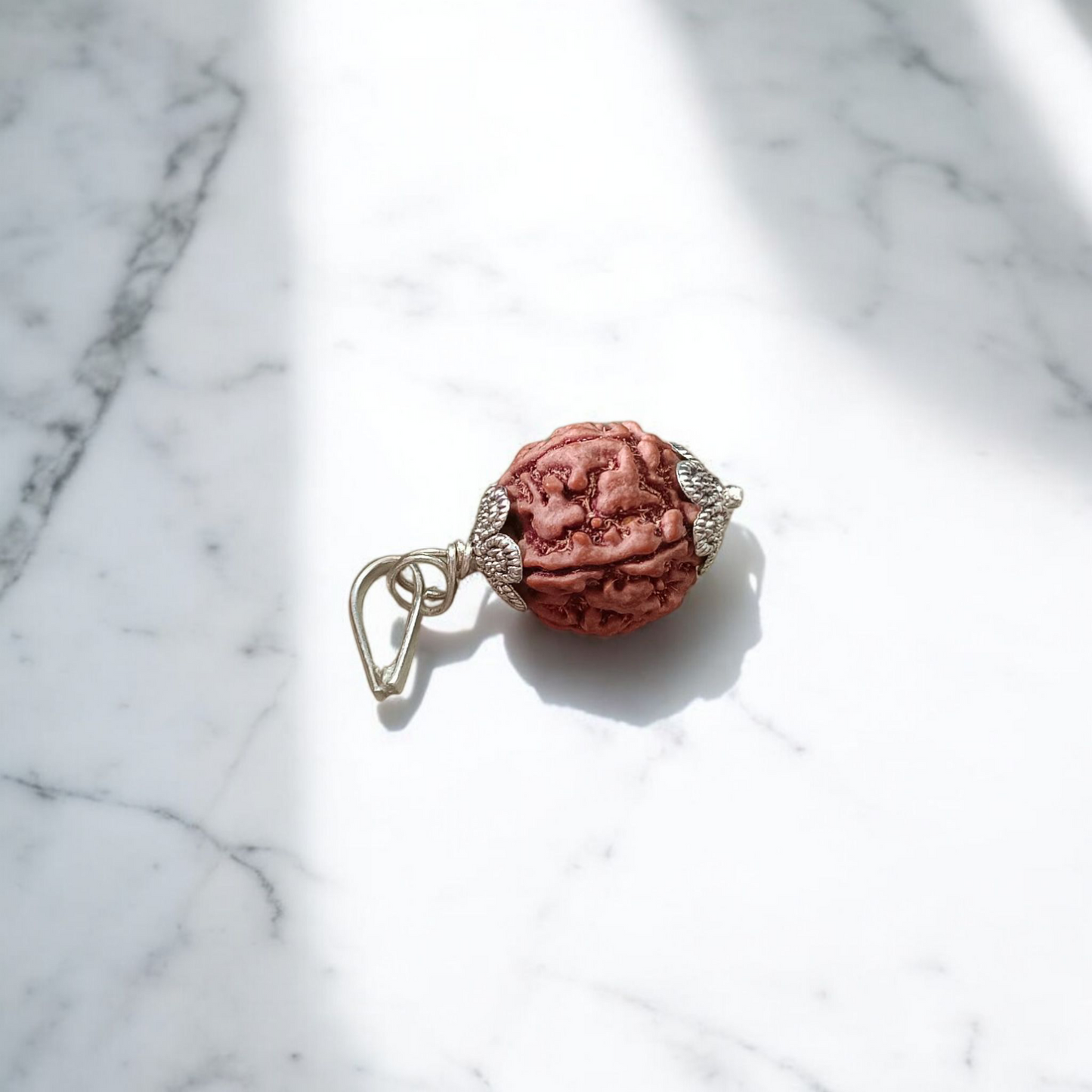 Combo of 5 Mukhi Rudraksha Mala and 5 Mukhi Rudraksha Pendant - Lab Certified - Gurupujan