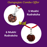 Combo of 6 Mukhi and 5 Mukhi Rudraksha Lab Certified beads for strength, peace, clarity, and protection.