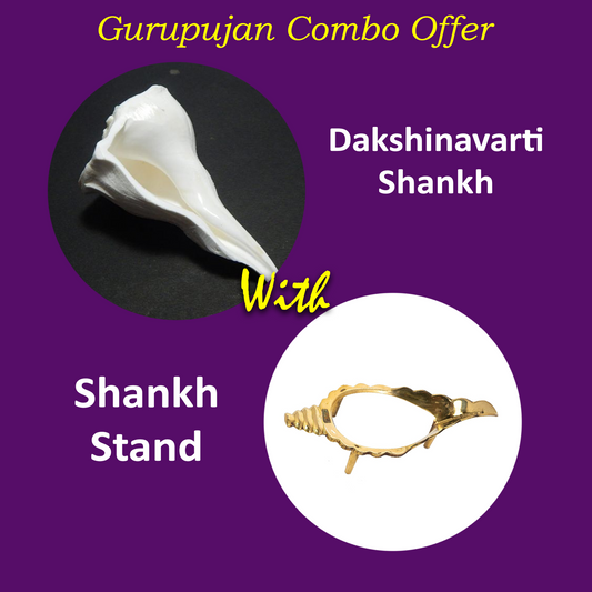 Combo of Dakshinavarti Shankh and Brass Stand Lab Certified for wealth, prosperity, and spiritual protection.