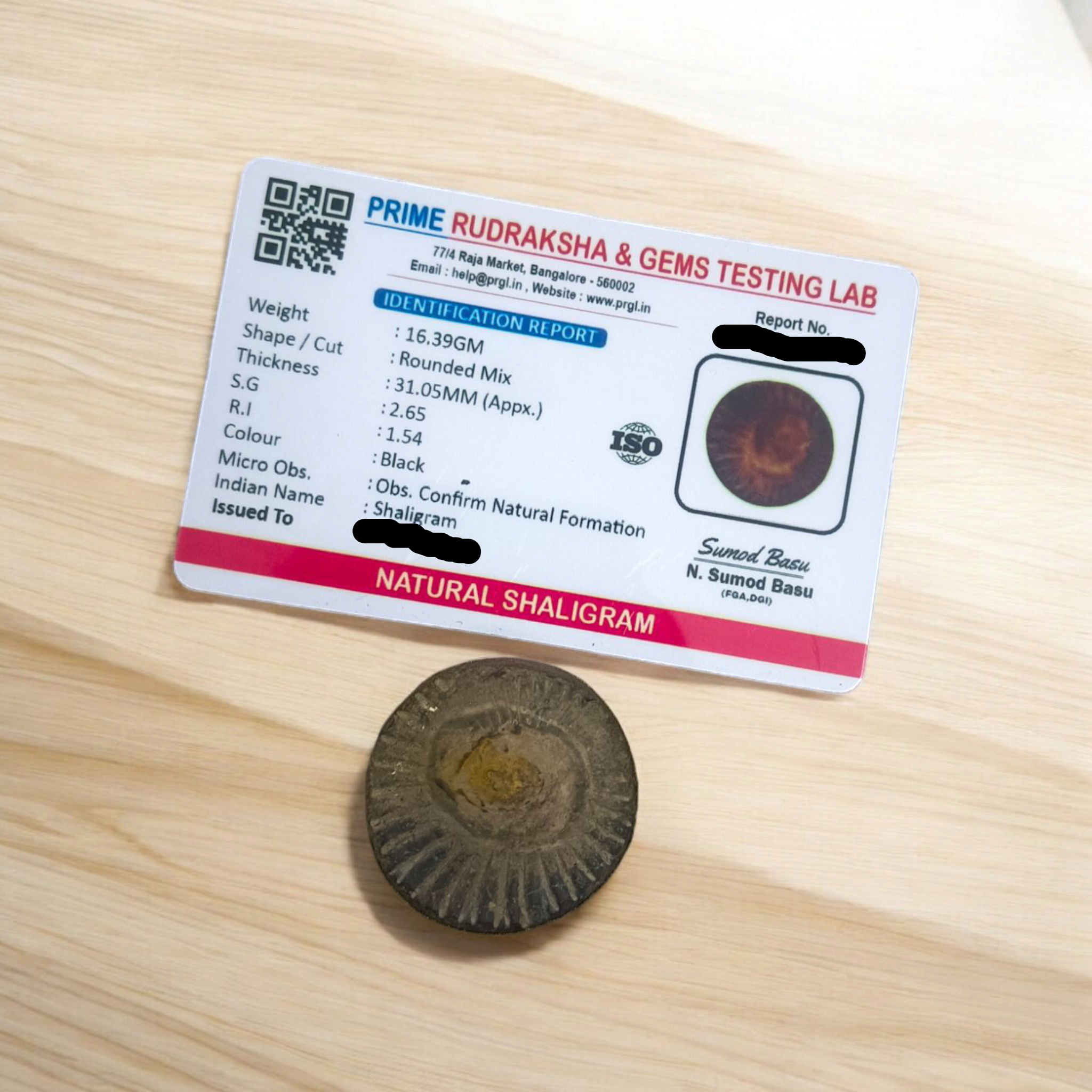 Combo of Sudarshan Shaligram and Shaligram Pendant – Lab Certified