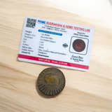 Combo of Sudarshan Shaligram and Shaligram Pendant – Lab Certified