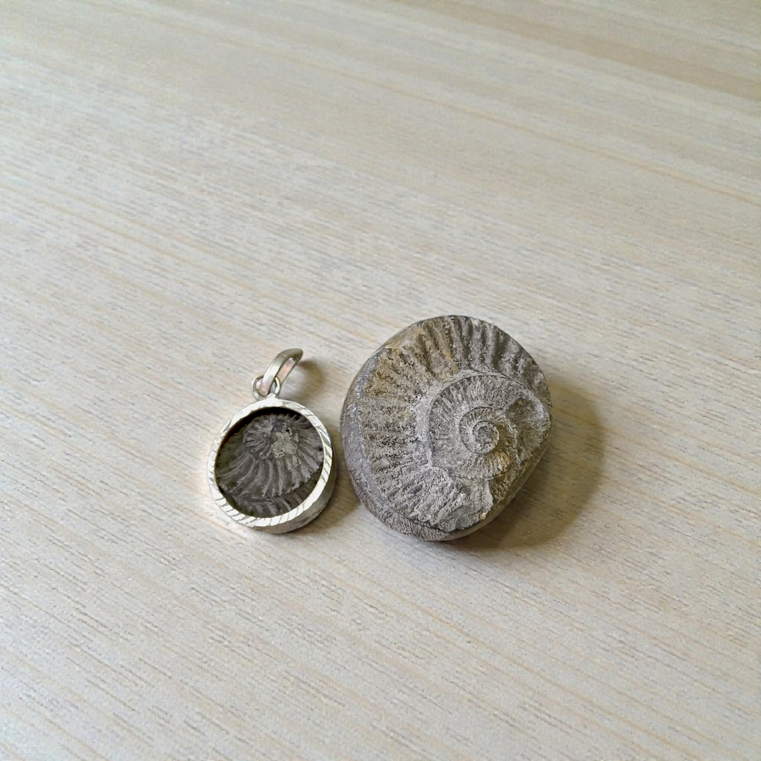 Combo of Sudarshan Shaligram and Shaligram Pendant – Lab Certified