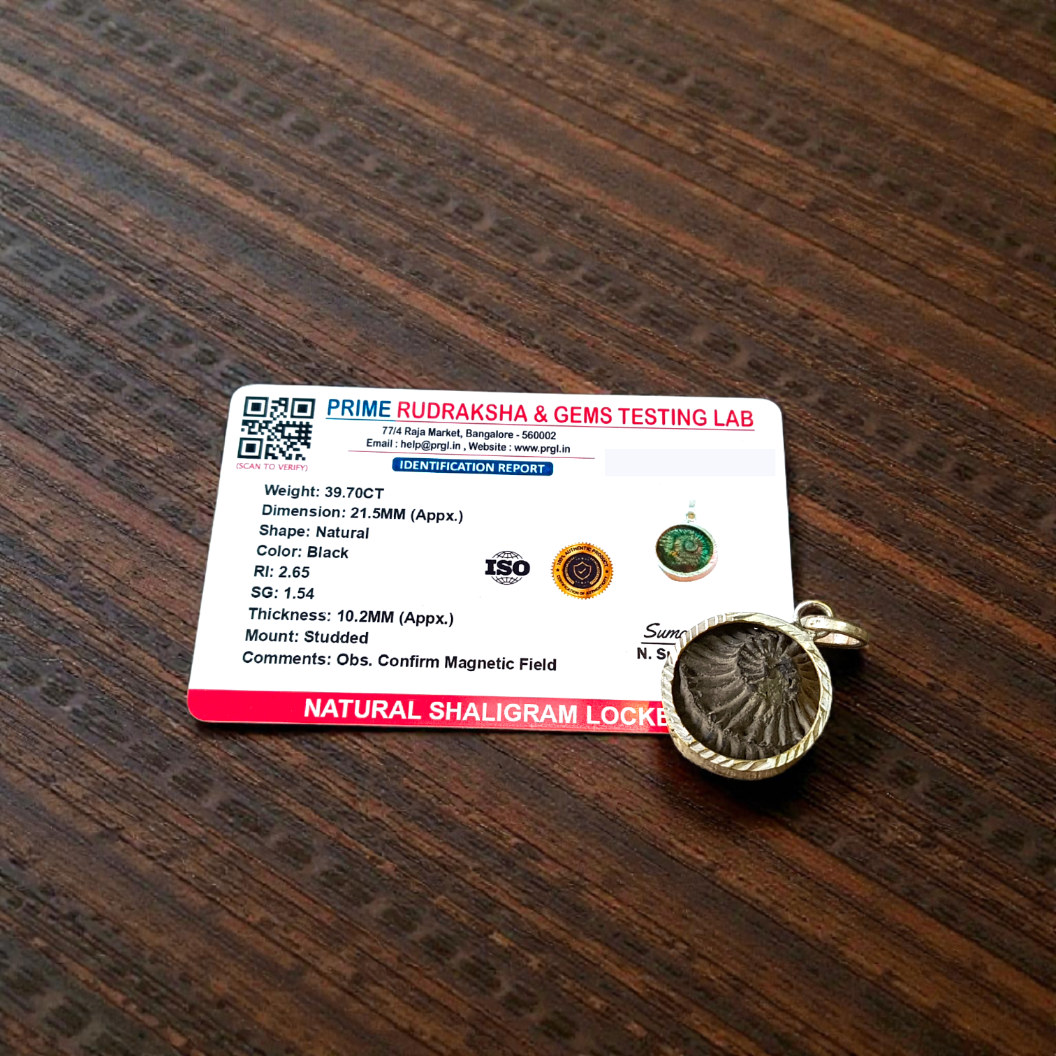 Combo of Sudarshan Shaligram and Shaligram Pendant – Lab Certified