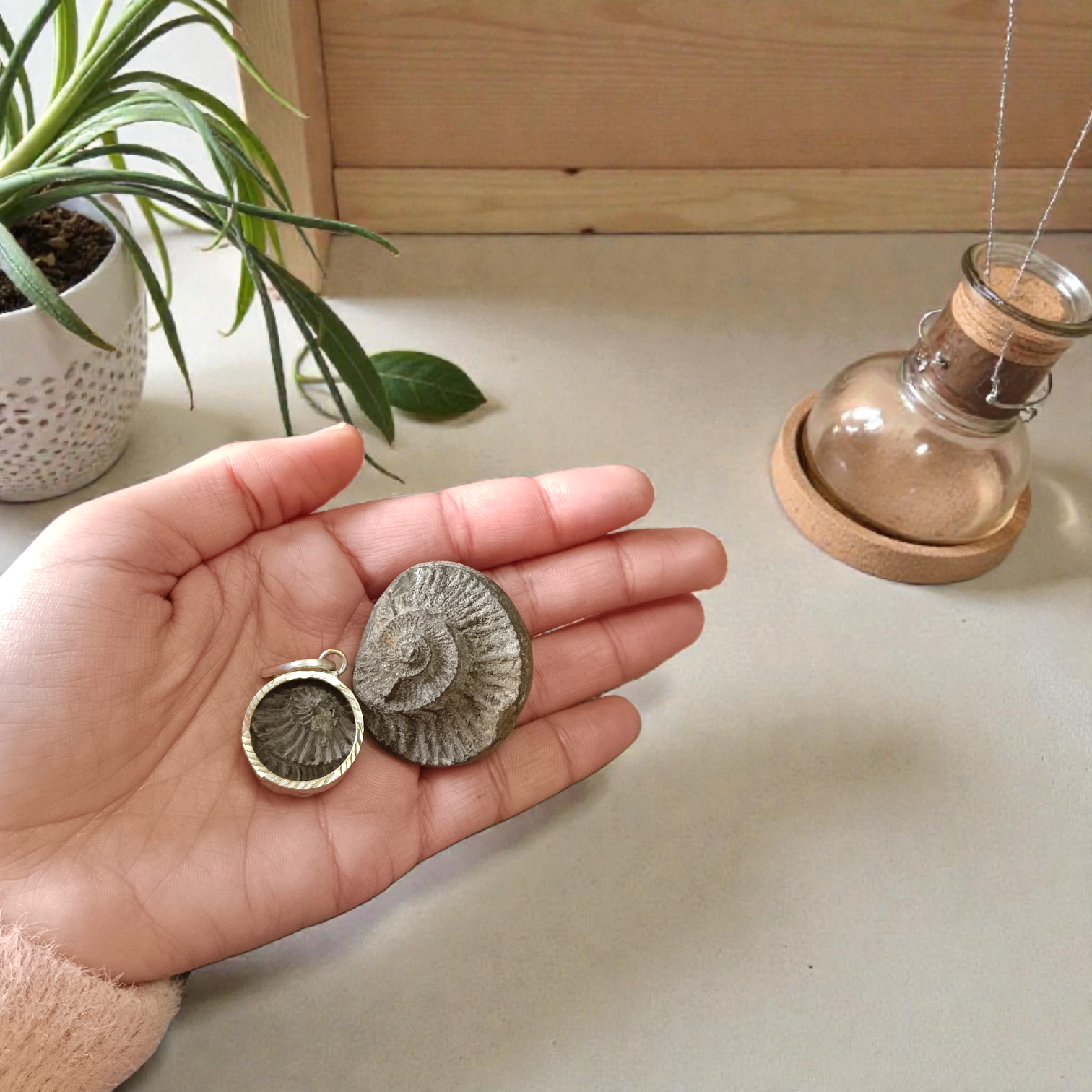 Combo of Sudarshan Shaligram and Shaligram Pendant – Lab Certified