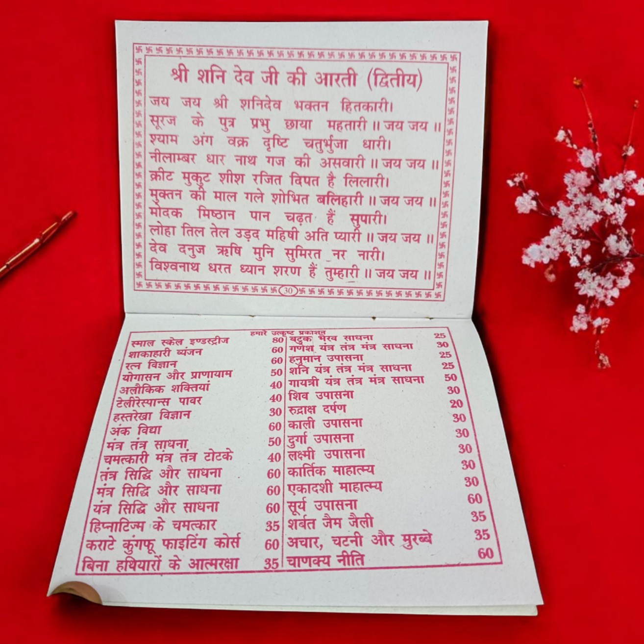 Cover image of the Shani Chalisa Hindi book, showcasing the divine prayer to Lord Shani for protection, success, and relief from malefic influences.