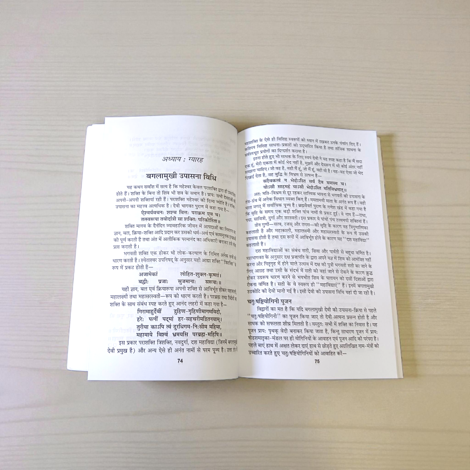 Cover of Bagalamukhi Tantra Sadhna and Siddhi in Hindi book showing spiritual illustration and Hindi text