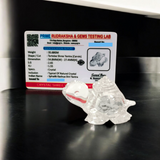 Crystal Shree Yantra on Tortoise, crafted from Sphatik crystal, for prosperity, spiritual growth, and Vastu remedies. Lab Certified for authenticity.