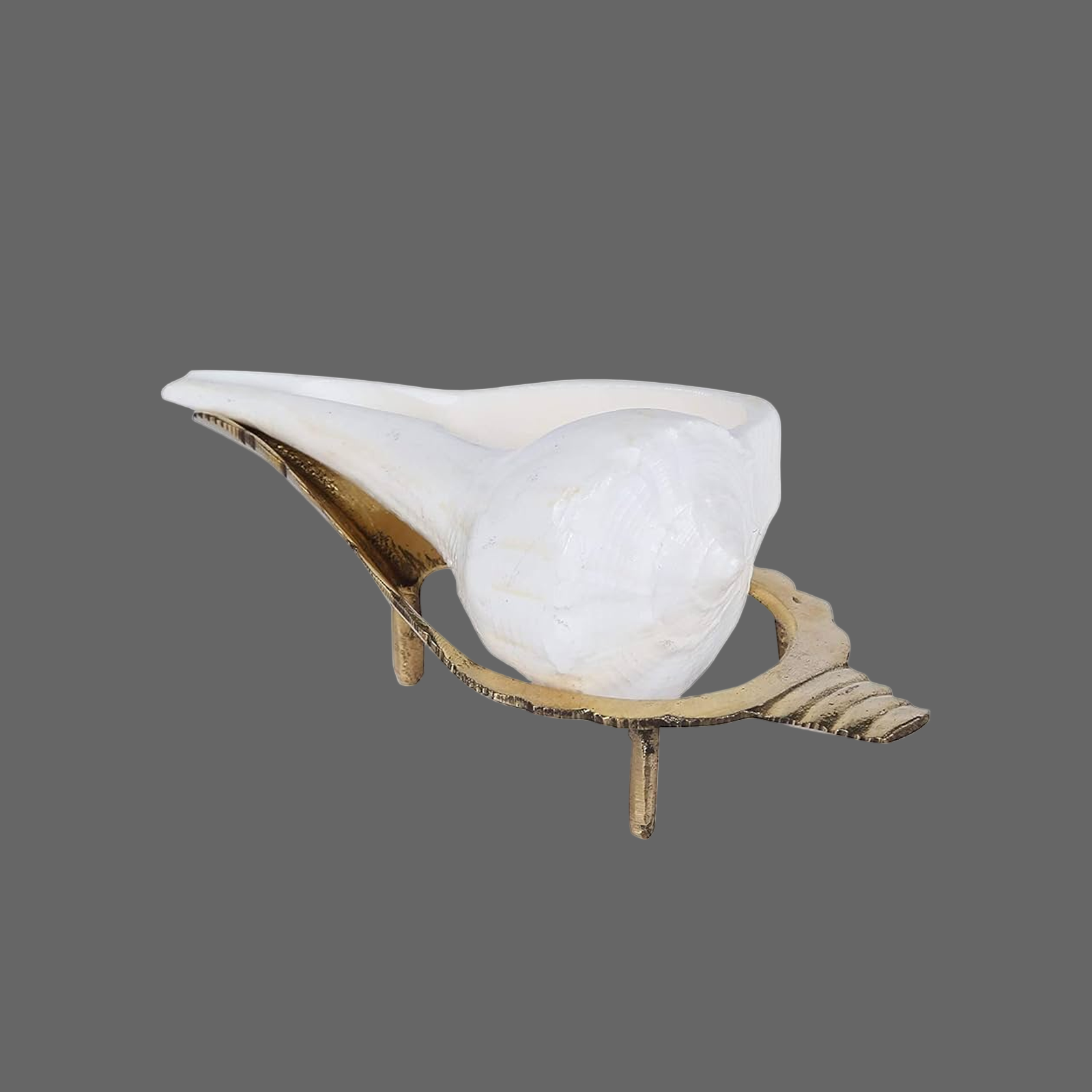 Dakshinavarti Shankh (Valampuri Sangu) with free stand for spiritual practices, puja rituals, and Vastu remedies to attract prosperity and positive energy.
