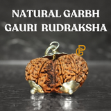 Garbh Gauri Rudraksha bead, lab certified, used for fertility and healthy pregnancy, worn as a pendant or bracelet.