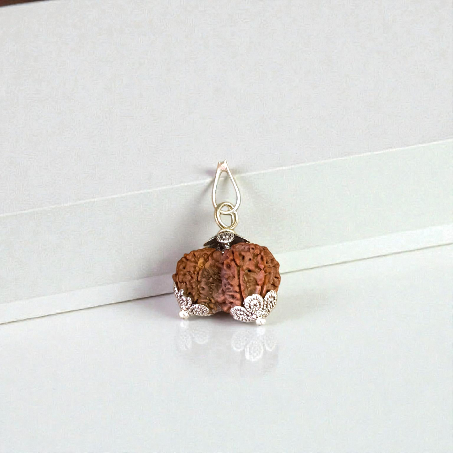 Garbh Gauri Rudraksha bead, lab certified, used for fertility and healthy pregnancy, worn as a pendant or bracelet