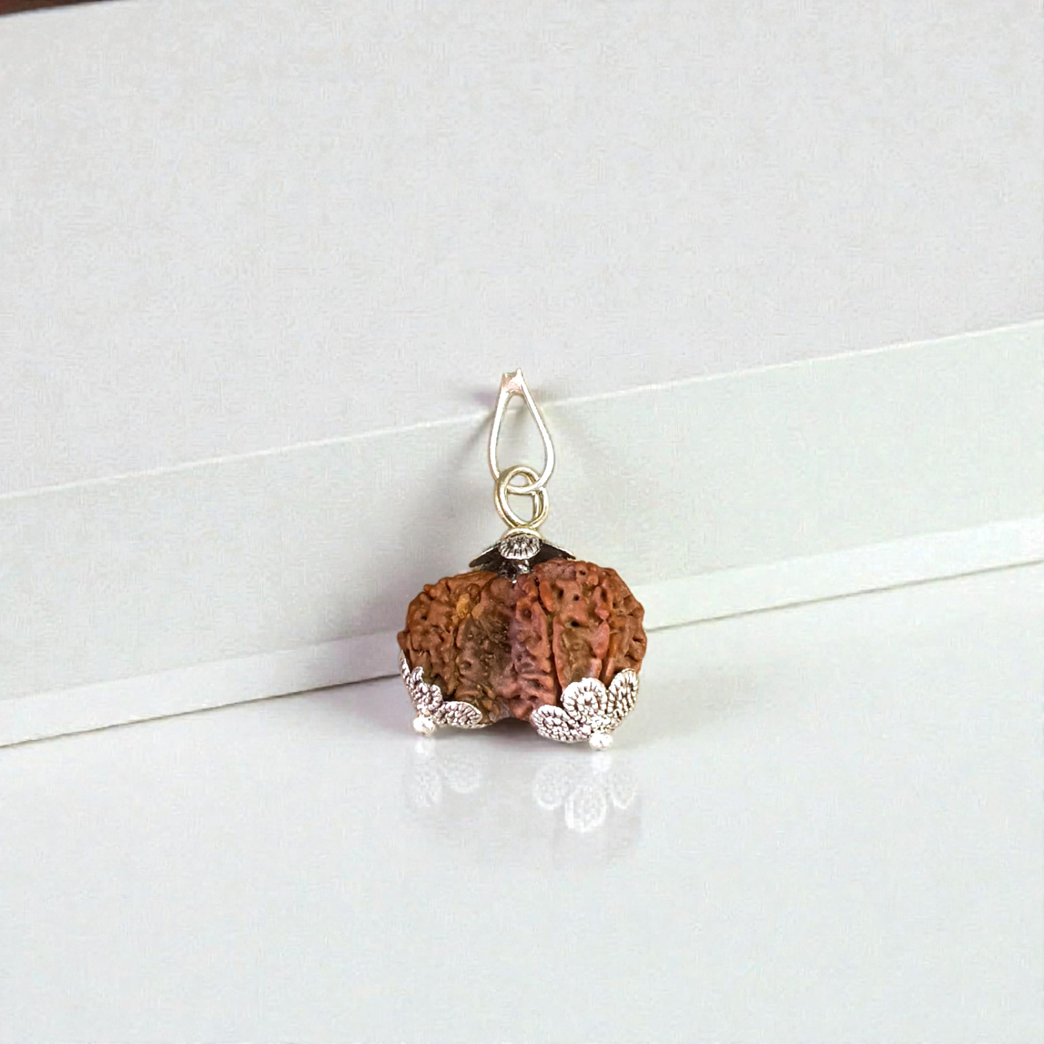 Garbh Gauri Rudraksha bead, lab certified, used for fertility and healthy pregnancy, worn as a pendant or bracelet
