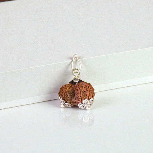 Garbh Gauri Rudraksha bead, lab certified, used for fertility and healthy pregnancy, worn as a pendant or bracelet