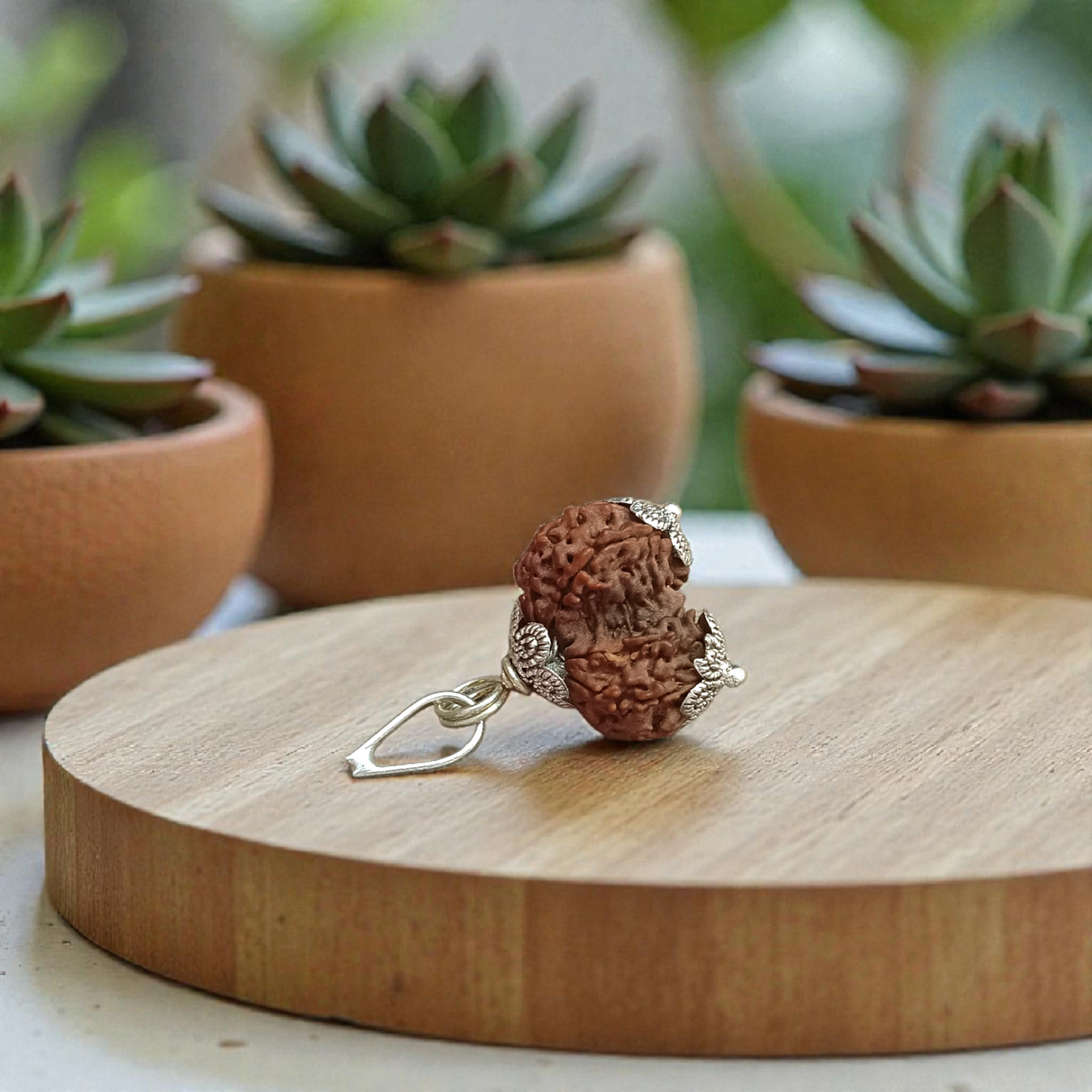 Garbh Gauri Rudraksha bead, lab certified, used for fertility and healthy pregnancy, worn as a pendant or bracelet