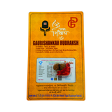 Gauri Shankar Rudraksha lab-certified bead, symbolizing the divine union of Lord Shiva and Goddess Parvati, ideal for spiritual growth, peace, and prosperity