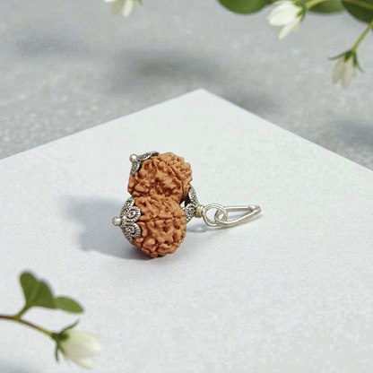 Gauri Shankar Rudraksha lab-certified bead, symbolizing the divine union of Lord Shiva and Goddess Parvati, ideal for spiritual growth, peace, and prosperity