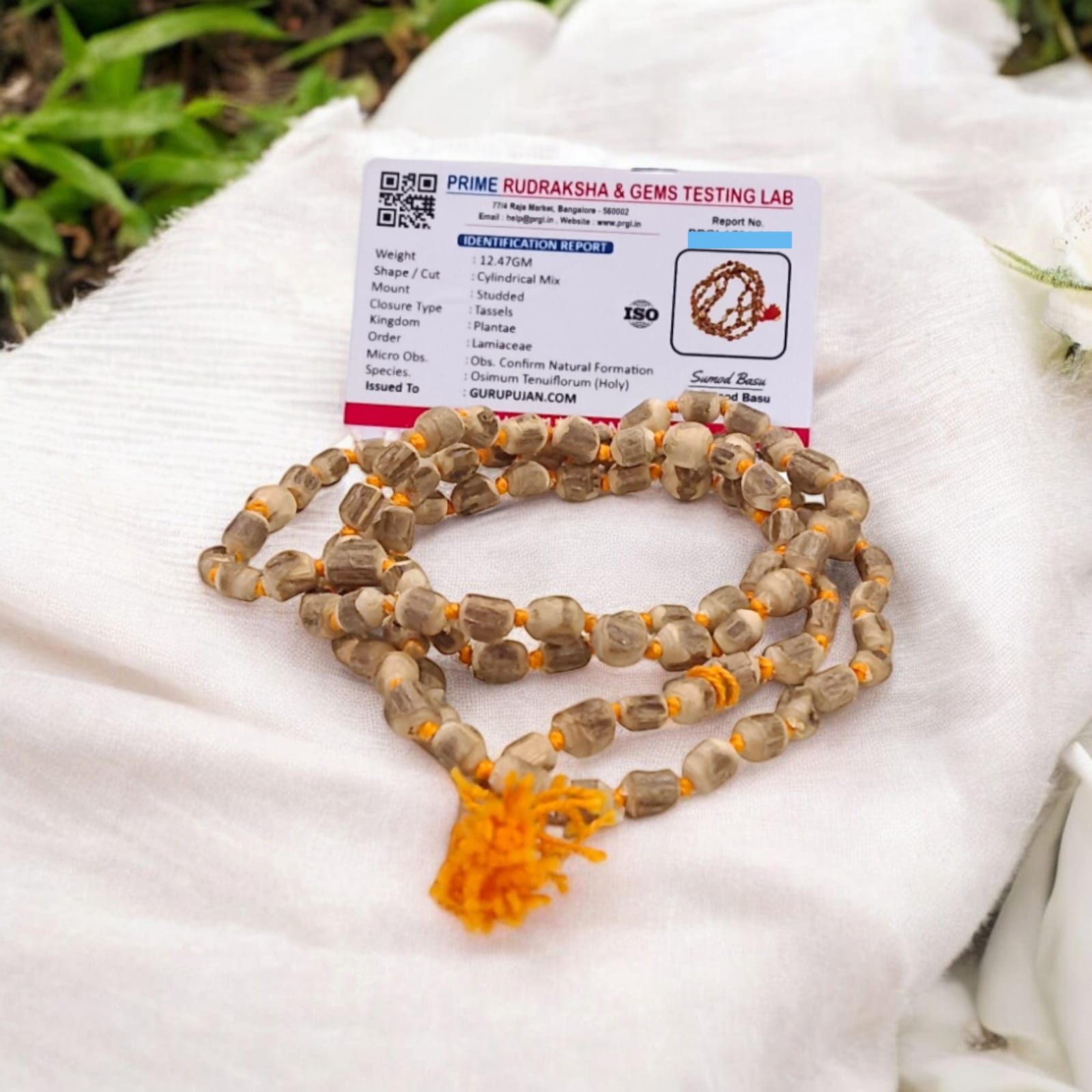 Handmade Natural Tulsi Kanthi Mala with barrel-shaped beads sourced from Vrindavan, ideal for chanting and daily wear to enhance spiritual devotion.