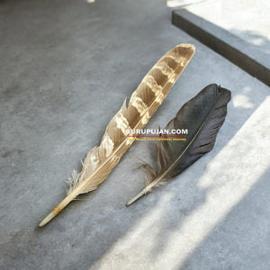 Owl & Crow Feather (Save 10%)