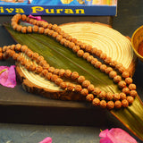 Image of 8 Mukhi Rudraksha mala with 27+1 and 108+1 bead variants displayed, showing lab certification badge and natural brown Rudraksha beads.