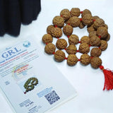 Image of 8 Mukhi Rudraksha mala with 27+1 and 108+1 bead variants displayed, showing lab certification badge and natural brown Rudraksha beads.
