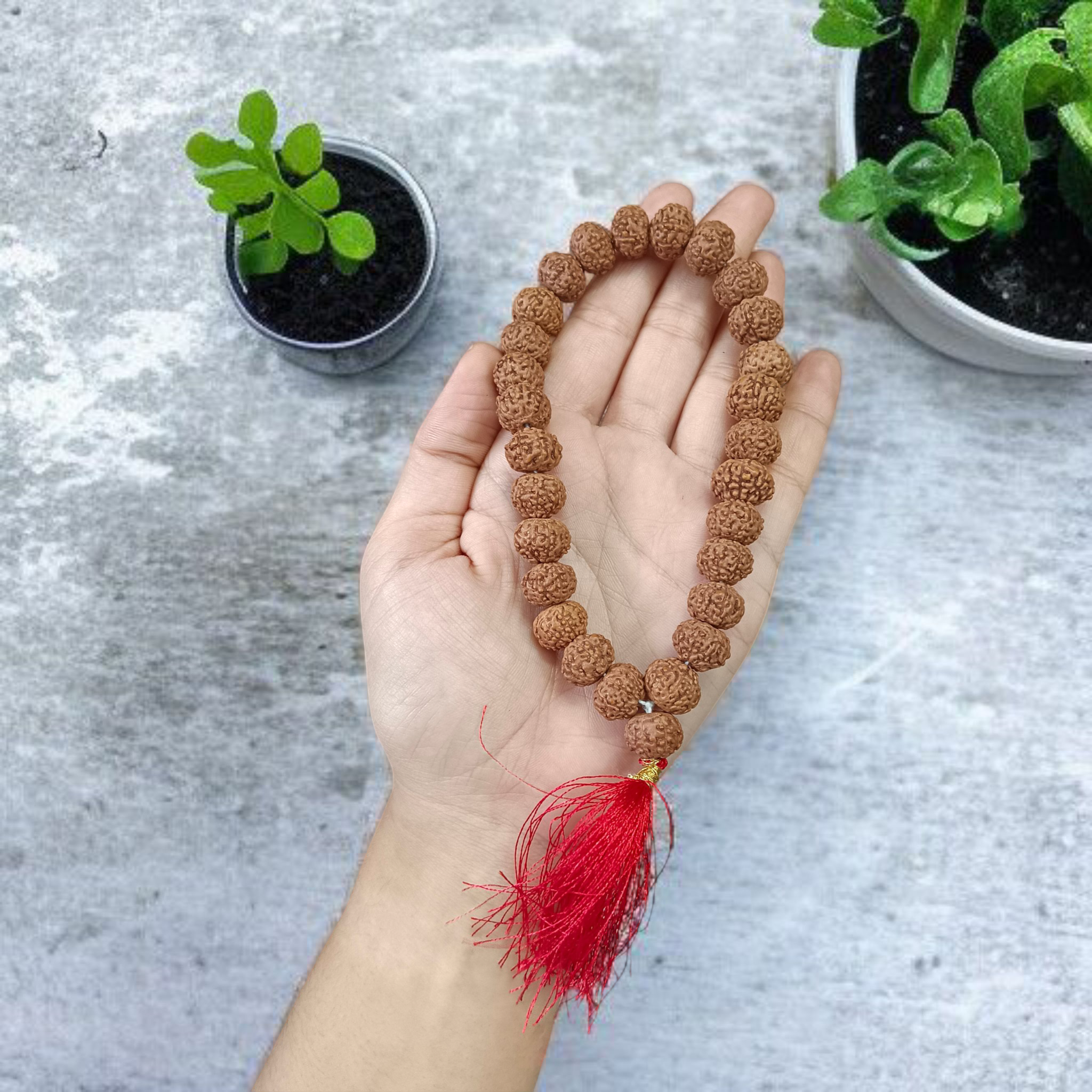 Image of 8 Mukhi Rudraksha mala with 27+1 and 108+1 bead variants displayed, showing lab certification badge and natural brown Rudraksha beads