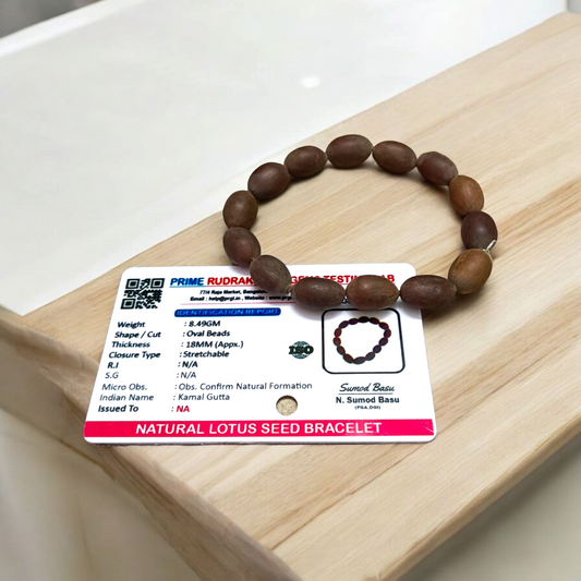 Image of Natural Kamal Gutta Bracelet made from 100% Original Lotus Seeds with Lab Certificate shown on a wrist for spiritual use