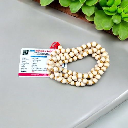 Natural Tulsi Mala -  Tulsi Jaap Mala, Lab Certified, 27+1 & 108+1 Beads