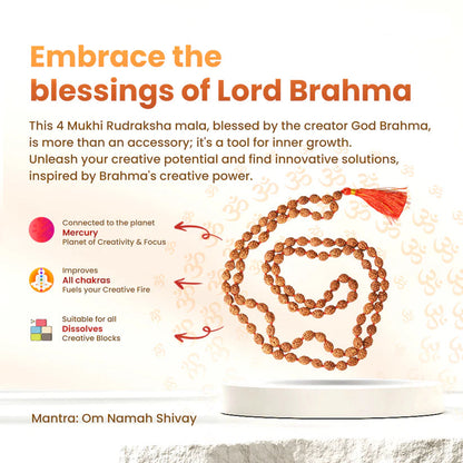 Image of authentic 4 Mukhi Rudraksha Mala in 27+1 and 108+1 bead variants, lab-certified, used for creativity and Guru Pujan.