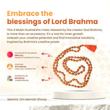 Image of authentic 4 Mukhi Rudraksha Mala in 27+1 and 108+1 bead variants, lab-certified, used for creativity and Guru Pujan.