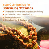 Image of authentic 4 Mukhi Rudraksha Mala in 27+1 and 108+1 bead variants, lab-certified, used for creativity and Guru Pujan.