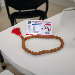 27+1 Beads