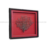 Indrajal 100% Genuine | For Goodluck & Prosperity | Lab Certified