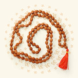 Lab-certified 2 Mukhi Rudraksha Mala for harmony in relationships, available in 27+1, 54+1, and 108+1 bead variants, by Gurupujan.