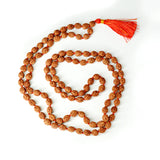 Lab-certified 2 Mukhi Rudraksha Mala for harmony in relationships, available in 27+1, 54+1, and 108+1 bead variants, by Gurupujan.