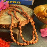 Lab-certified 2 Mukhi Rudraksha Mala for harmony in relationships, available in 27+1, 54+1, and 108+1 bead variants, by Gurupujan.