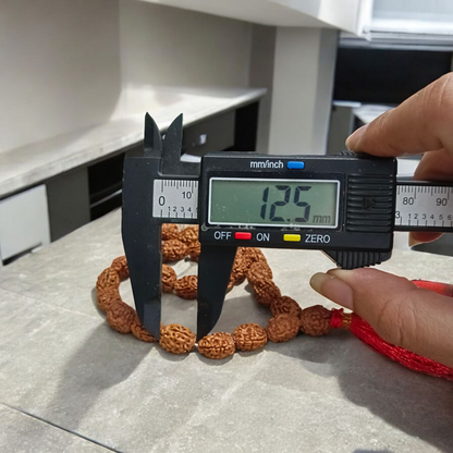 Lab-certified 3 Mukhi Rudraksha Mala for stress and anxiety relief, available in 27+1 and 108+1 bead variants, by Gurupujan