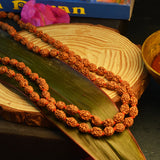 Lab-certified 3 Mukhi Rudraksha Mala for stress and anxiety relief, available in 27+1 and 108+1 bead variants, by Gurupujan