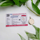 Lab-certified Gomti Chakra pendant tied in a vibrant red thread, offered by Gurupujan for protection, prosperity, and spiritual balance.