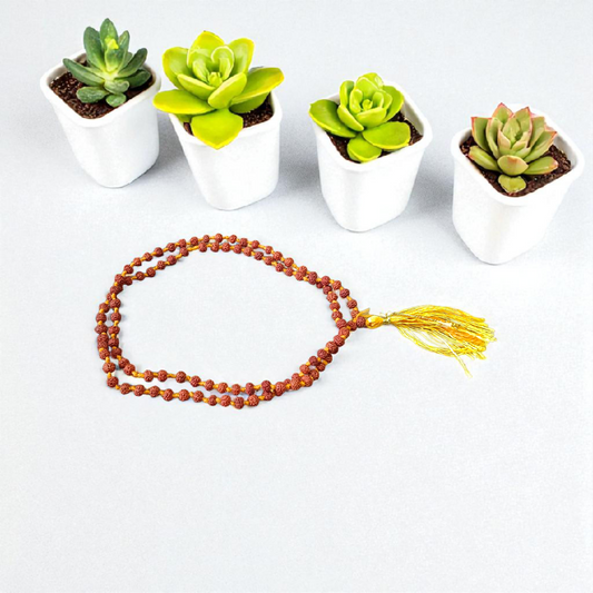Lab certified 5 Mukhi Rudraksha Mala with 108+1 beads, 4mm size, for meditation, stress relief, and mental clarity