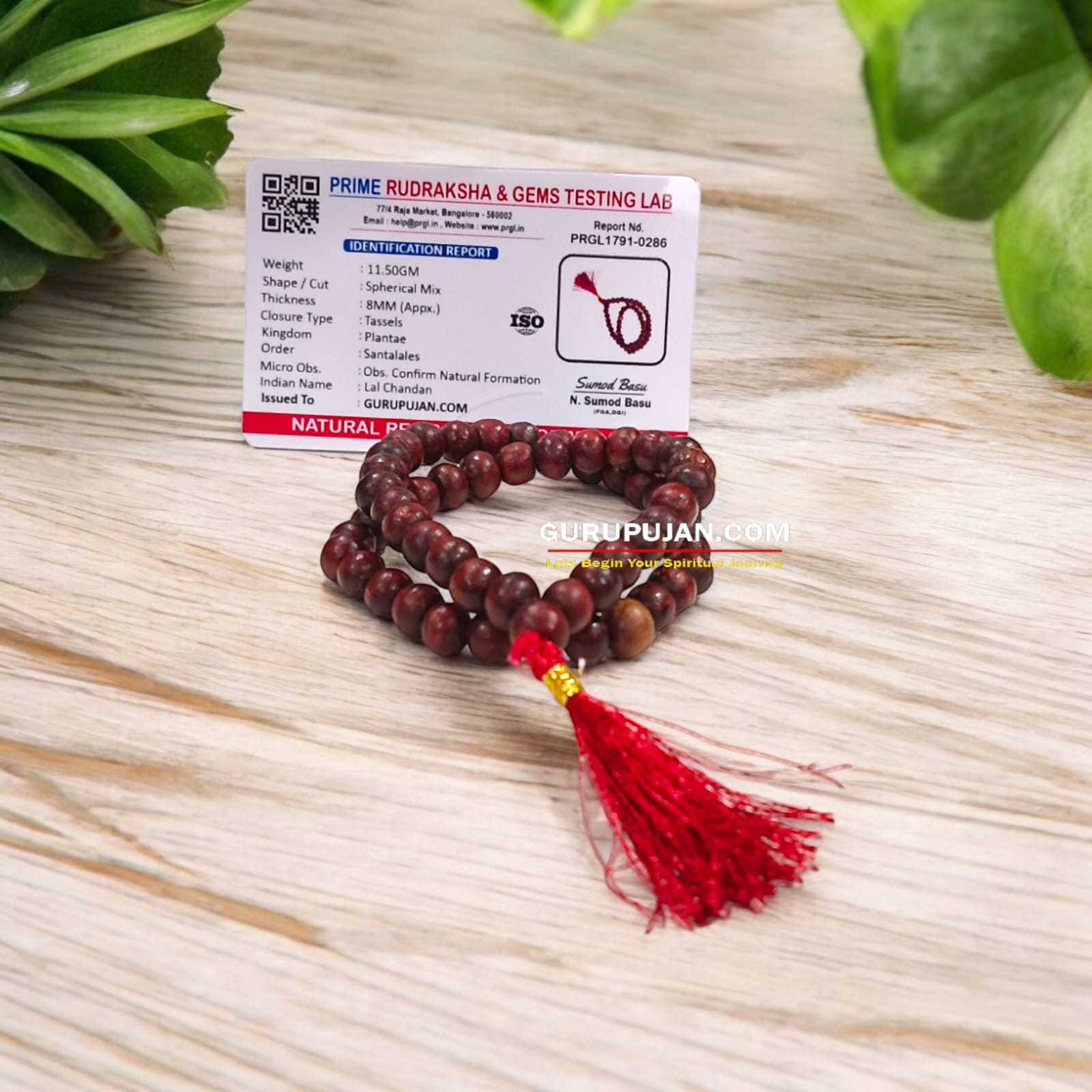 Lal Chandan Mala 54+1 beads, also known as Red Sandalwood Mala, featuring 8MM beads, lab certified, ideal for jaap, meditation, and daily wear.