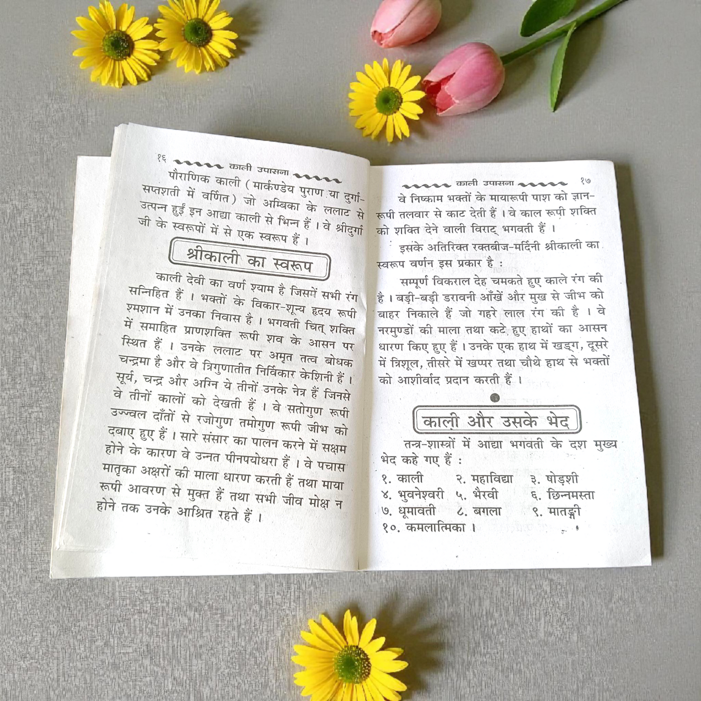 Maa Kali Upasana Hindi Book with Mantras, Rituals, and Aartis for Devotees