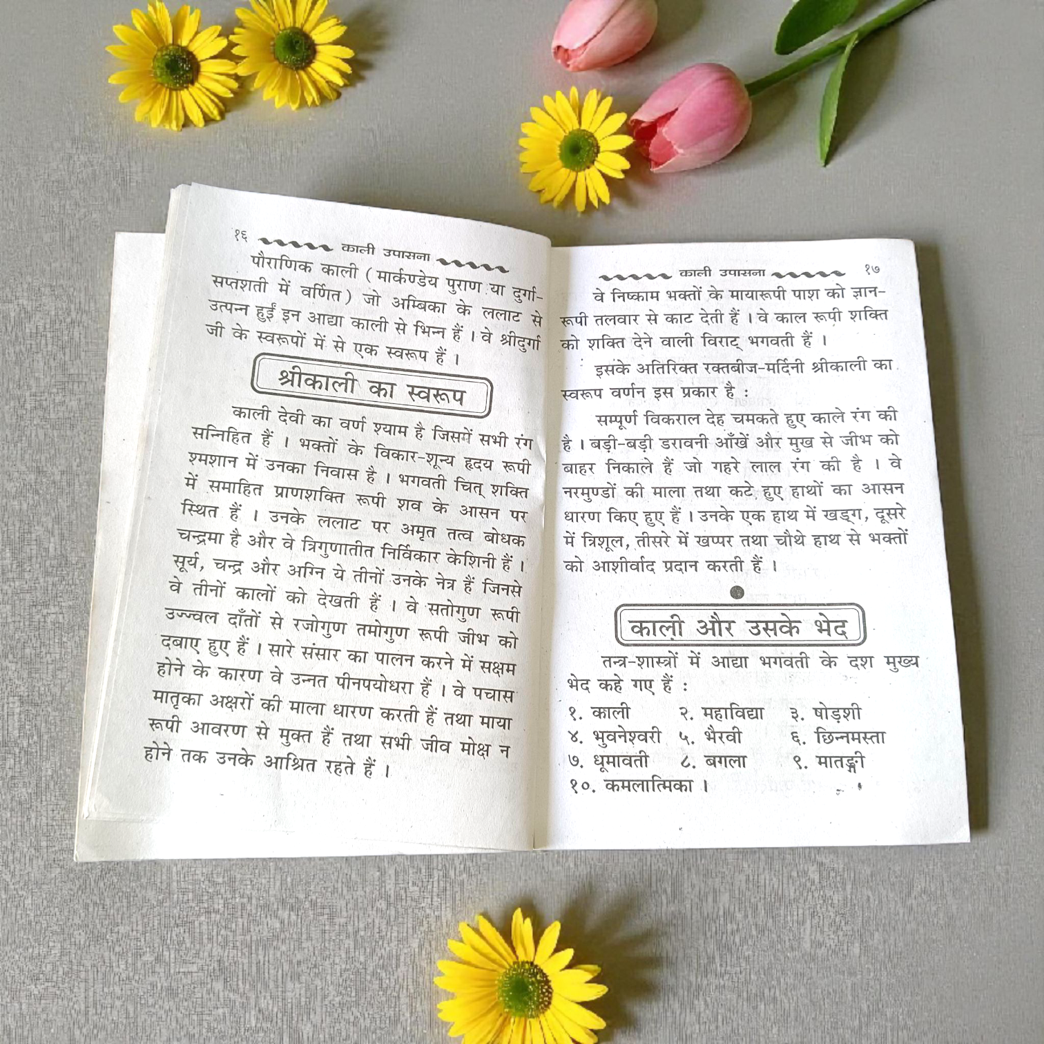 Maa Kali Upasana Hindi Book with Mantras, Rituals, and Aartis for Devotees
