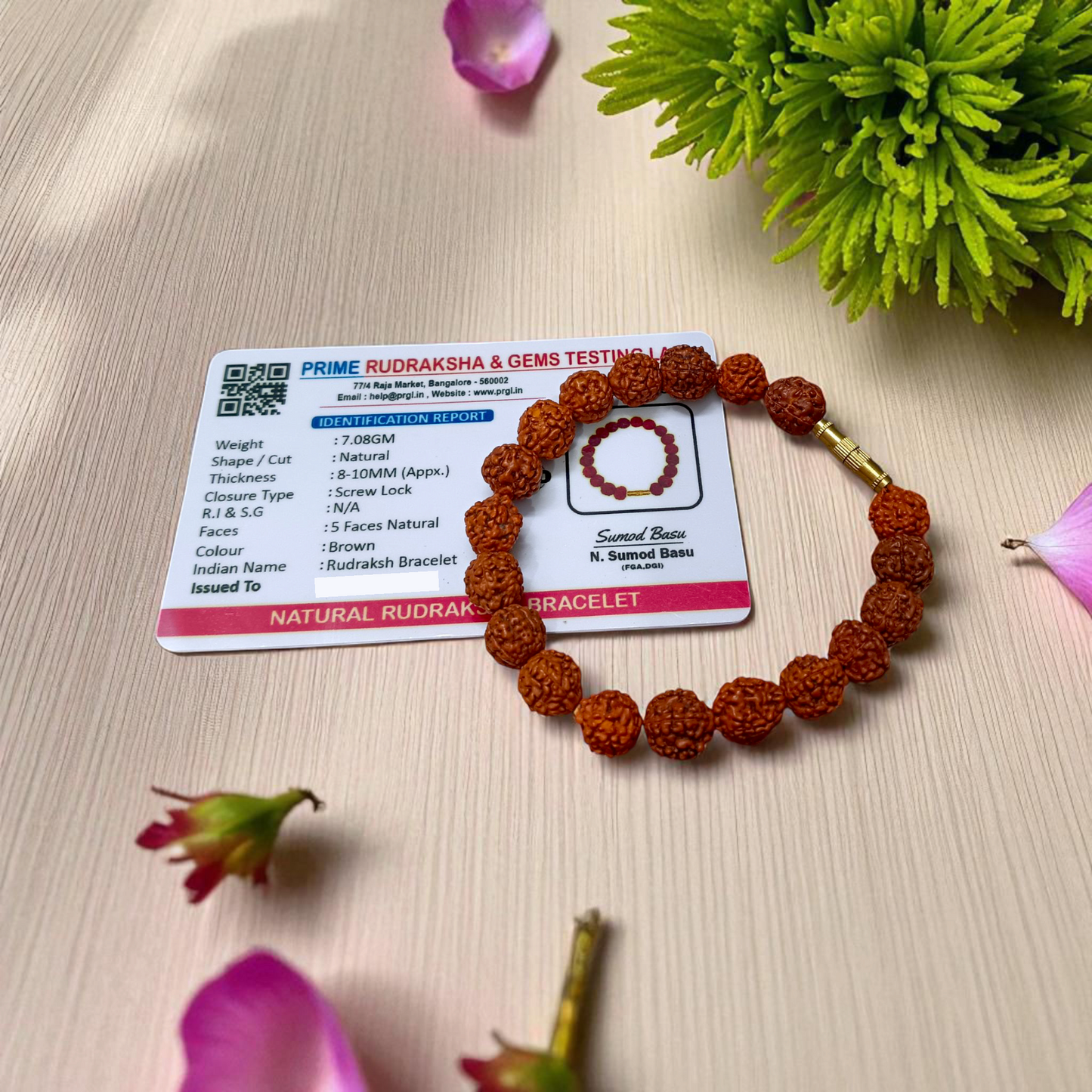 Natural 5 Mukhi Rudraksha Bracelet with 8mm Beads and Screw Lock – Lab Certified Spiritual Healing Accessory