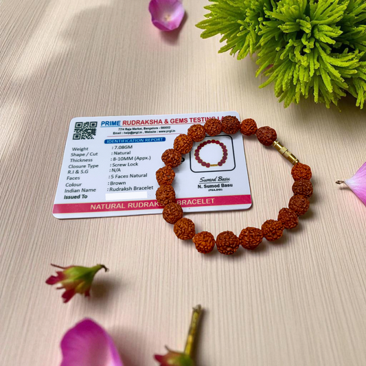 Natural 5 Mukhi Rudraksha Bracelet with 8mm Beads and Screw Lock – Lab Certified Spiritual Healing Accessory