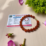 Natural 5 Mukhi Rudraksha Bracelet with 8mm Beads and Screw Lock – Lab Certified Spiritual Healing Accessory