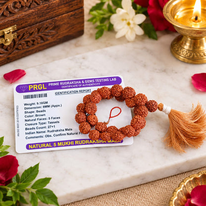 Natural 5 Mukhi Rudraksha Mala 27+1 Beads 8mm Lab Certified for Meditation