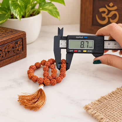 Natural 5 Mukhi Rudraksha Mala 27+1 Beads 8mm Lab Certified for Meditation