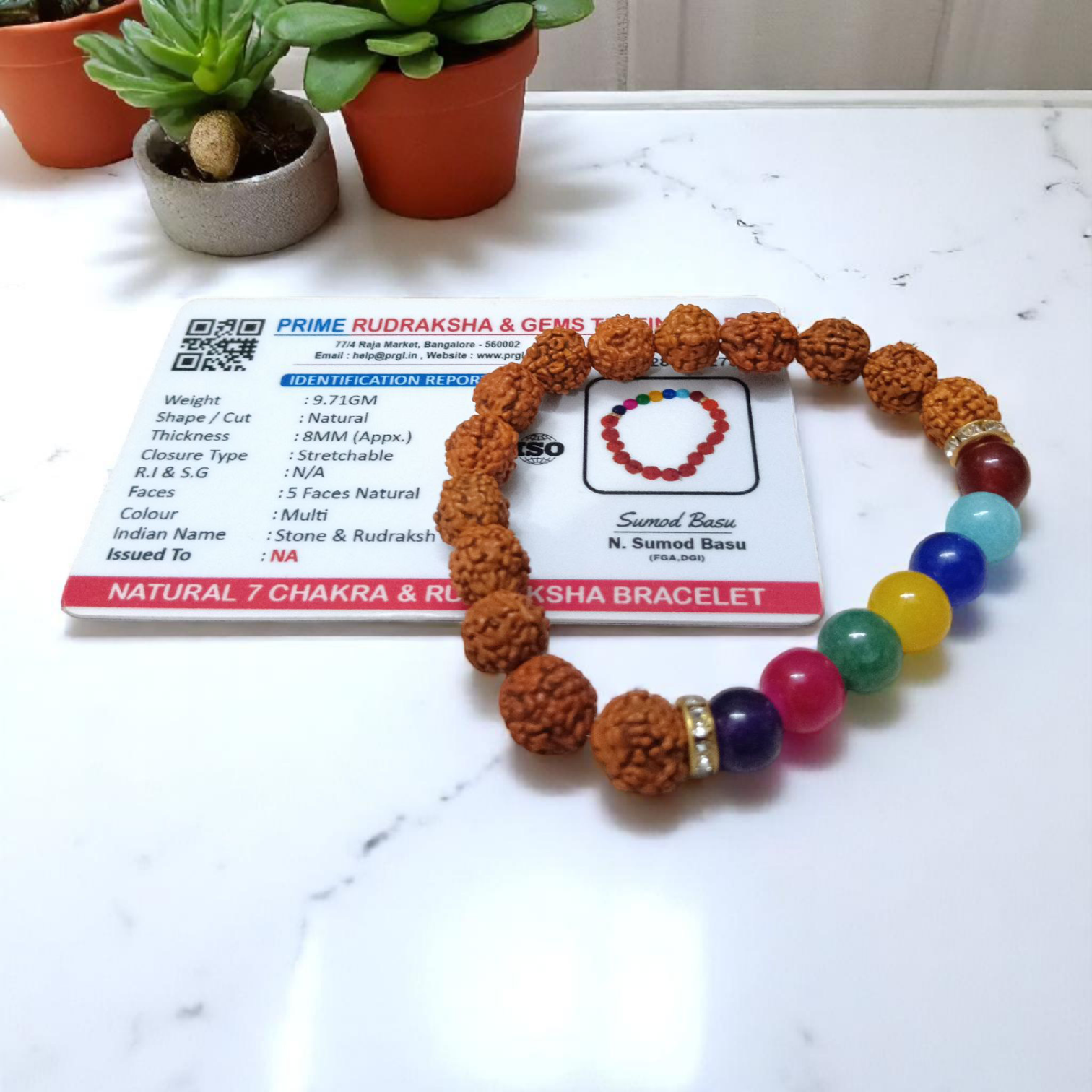 Natural 7 Chakra & Rudraksha Bracelet Combo – Lab Certified 8MM Beads | Gurupujan