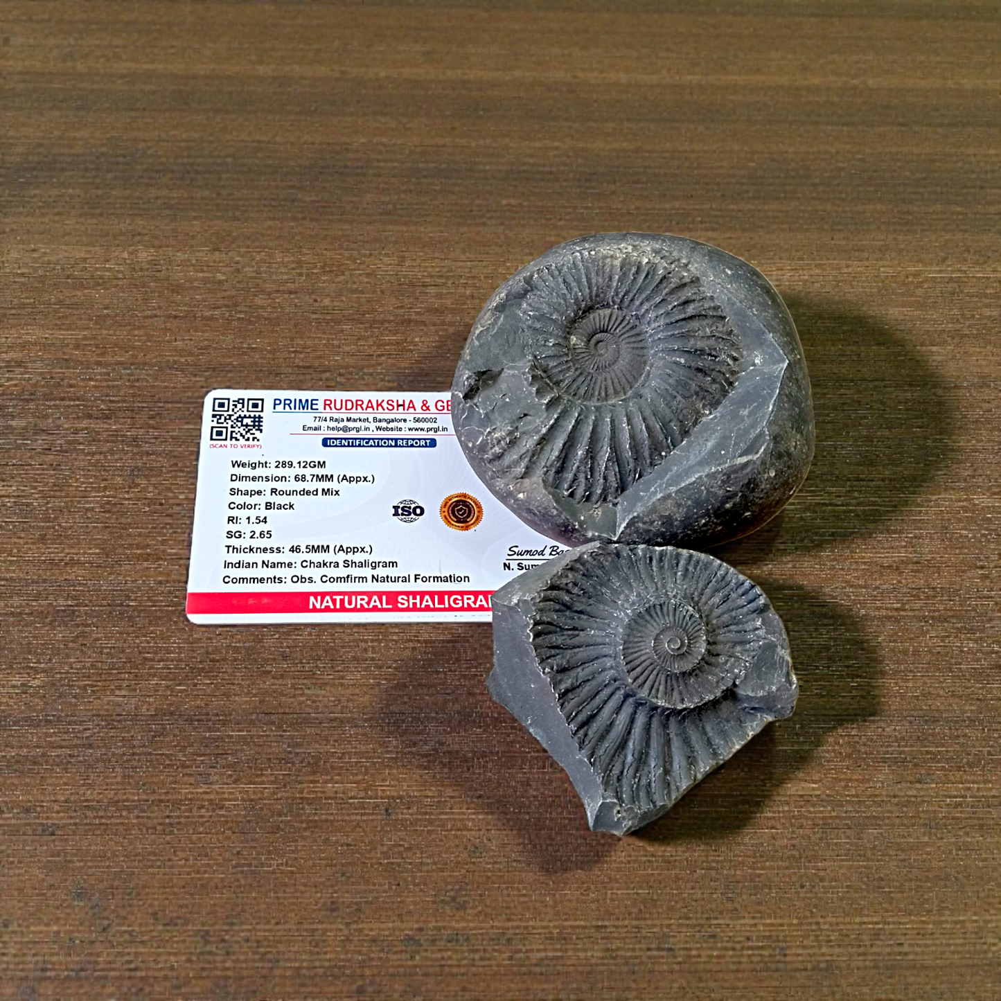 Natural Chakra Shaligram stone with authentic markings used for worship and spiritual protection