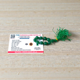 Natural Green Agate Hara Hakik Finger Mala 9+1 Beads Lab Certified 8mm