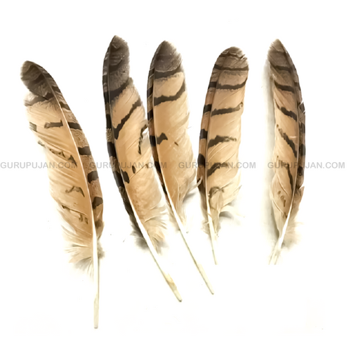 Natural Owl Feather | Original Ullu Ka Pankh | Lab Certified Spiritual Tool